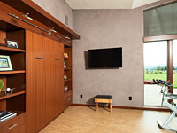 Murphy Bed and Work out room